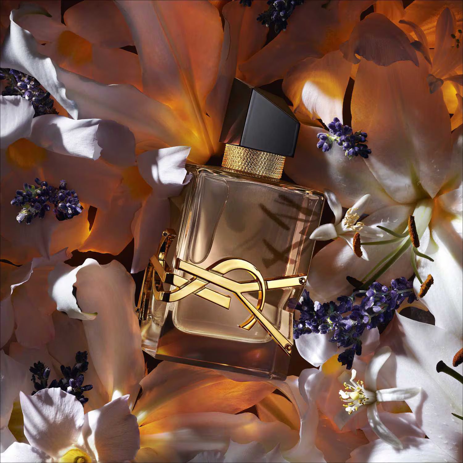 YSL Libre Eau de Parfum